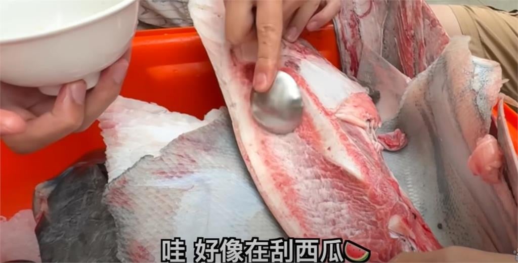 YTR拿湯匙開挖現吃「220公斤」要價30萬黑鮪魚！壯觀畫面曝掀百萬網朝聖