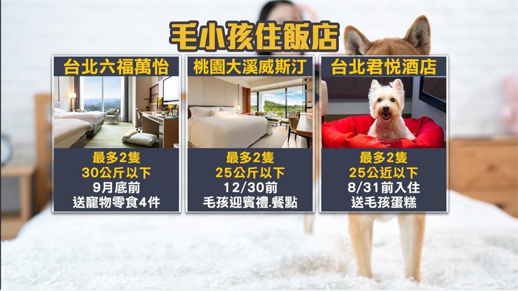 毛孩同入住!瞄準600億寵物商機 飯店送特製草莓千層蛋糕、零嘴