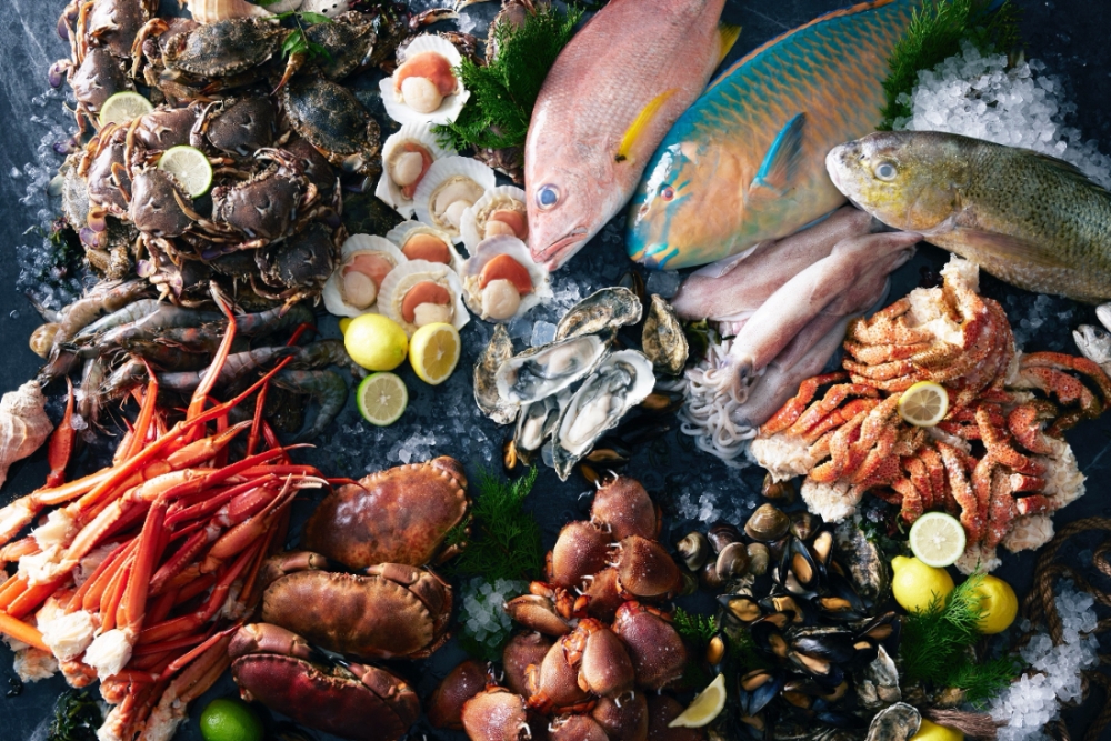 海鮮控照過來 喜來登12廚海鮮料理吃免驚