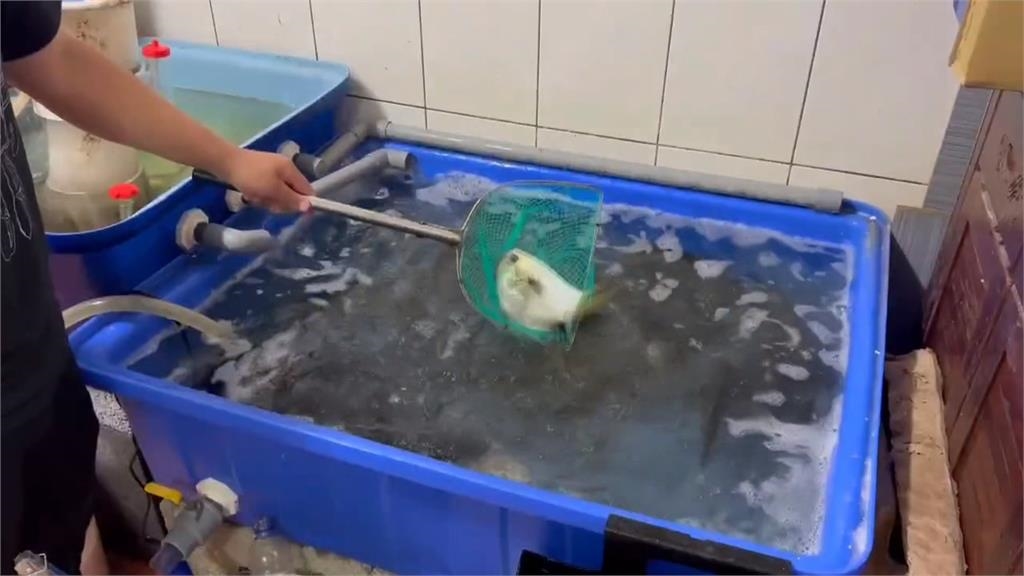 桃園1天2起停電殃及逾5600戶 水產業者:險損失上萬元