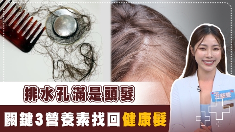狂掉頭髮心慌慌！營養師教你這樣吃　從飲食補充3類救髮營養素