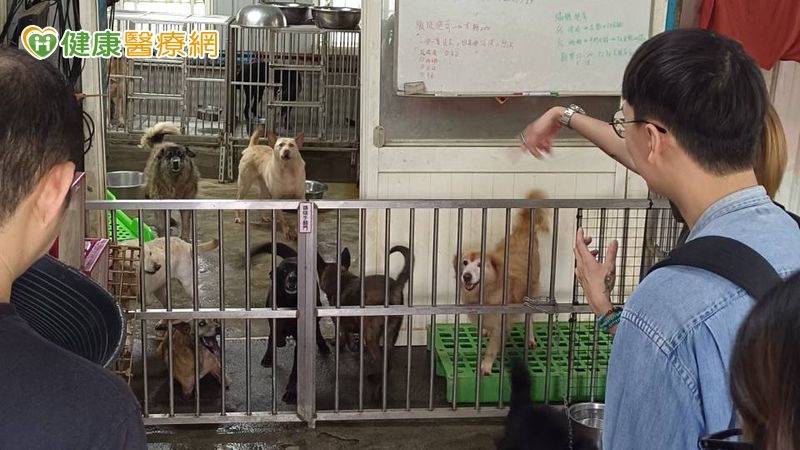 動物也需要長照:昱苗盒攜手善心企業呼籲關注動物長期照護議題