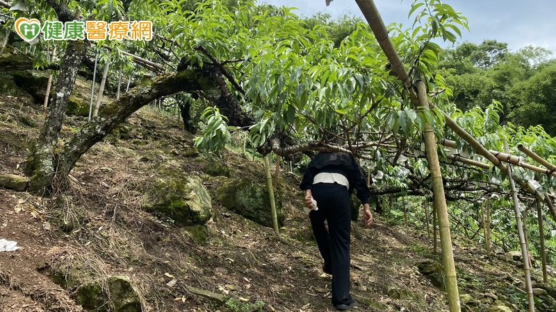 果農為洗腎每次來回四小時 「偏鄉洗腎中心」讓腎友不需生活就醫兩頭忙