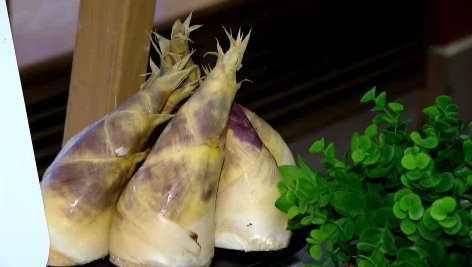 綠竹筍節來到!翠庭中餐廳推時令鮮筍料理 重新詮釋綠竹筍獨特魅力