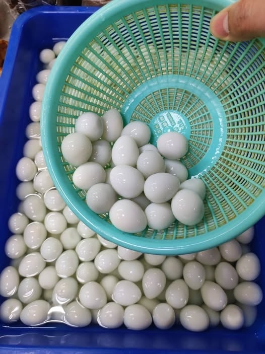 台灣人一年狂嗑「7億顆」鳥蛋?專家曝:假蛋成本比真蛋高