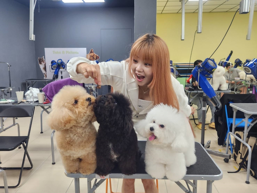 網紅比熊受邀到大學當講師！驚吐「家寧和Andy老師」鬧翻內幕