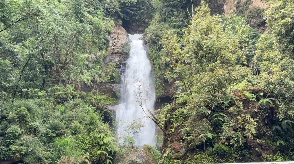 感受大自然！　南投繡球花大爆發搭配瀑布景色超壯觀