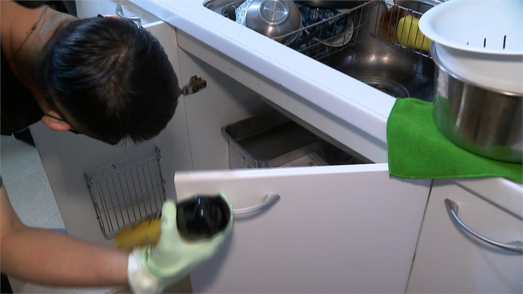 家裡有小強不敢打!業者組「滅蟑隊」主打24小時及時派遣到府除蟲