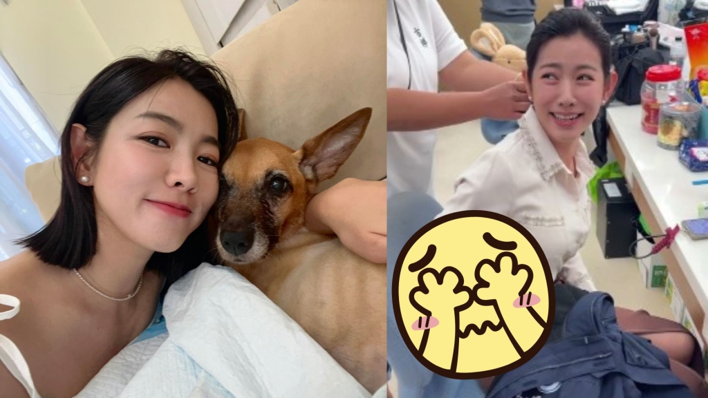 米可白《好運來》休息室「裙子裂開」引騷動！錦雯搶看「內在美」 