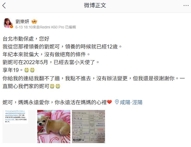 館長稱「中國沒禁翻牆」YT爽直播!資深舔共女星遇「1事」打臉:翻不了…