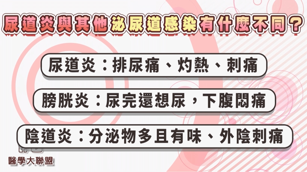 疼痛、灼燒感!炎夏尿道炎成隱藏敵人!家醫科醫師洪暐傑揭3預防秘招