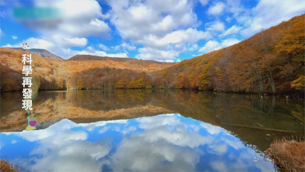 農業濕地保育 環境共好共生