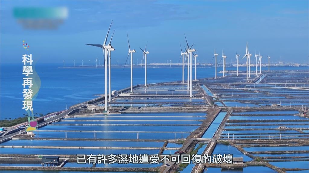 農業濕地保育 環境共好共生