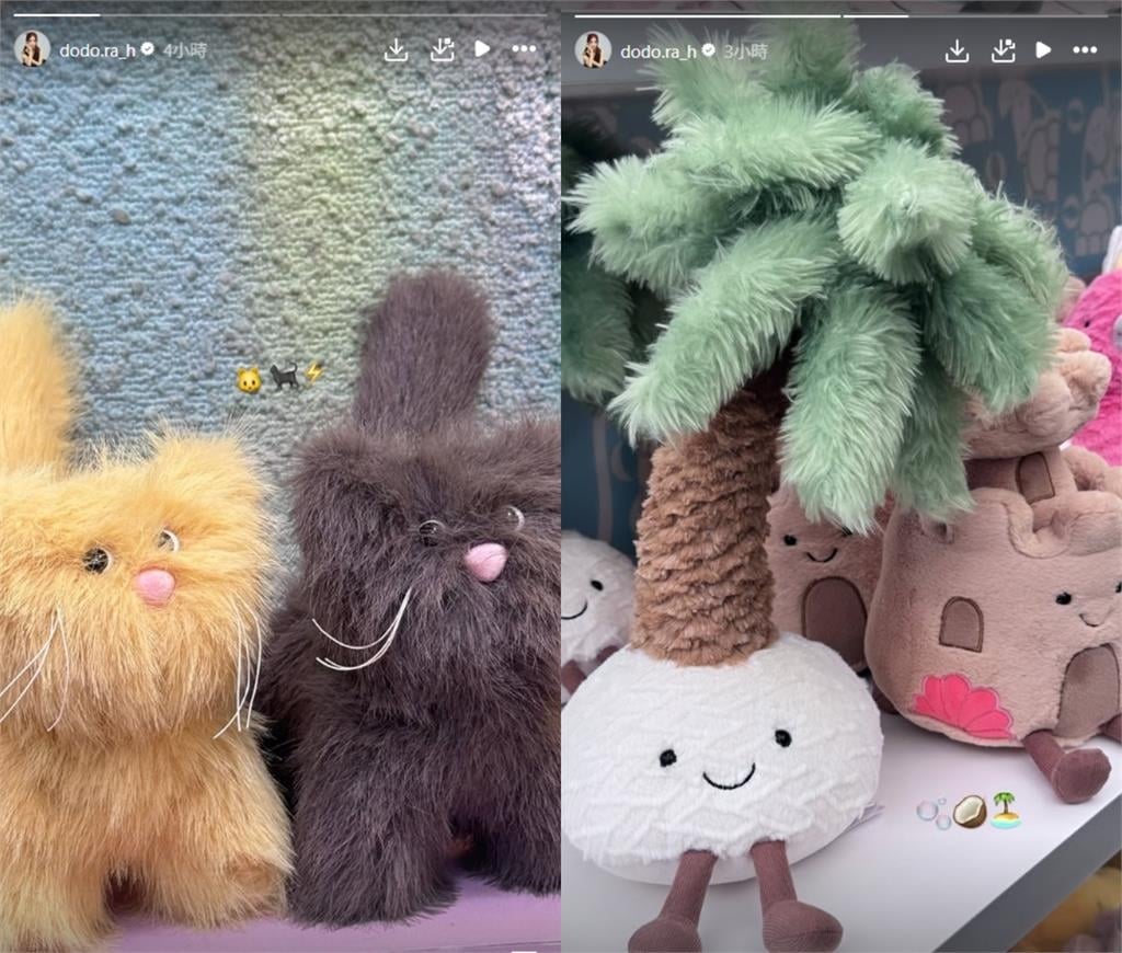 樂天女孩Dora遭影射小三「神隱1個月」突現身!連發兩限動揭驚人近況