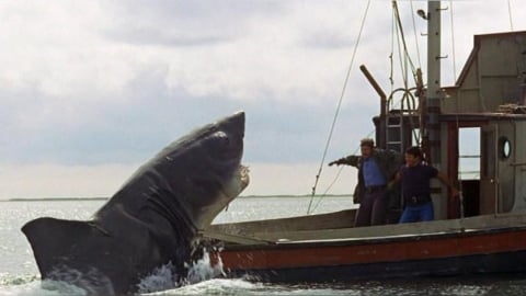 《大白鯊》製作鯊魚的設計師曝幕後故事 稱:我們都以為這只是部愚蠢的鯊魚片