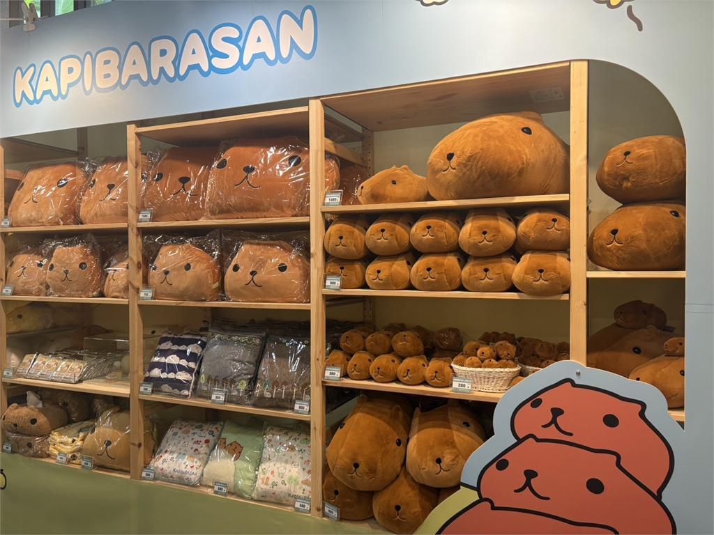 水豚君快閃華山!20週年快閃店登場 聯名優惠贈義式冰淇淋