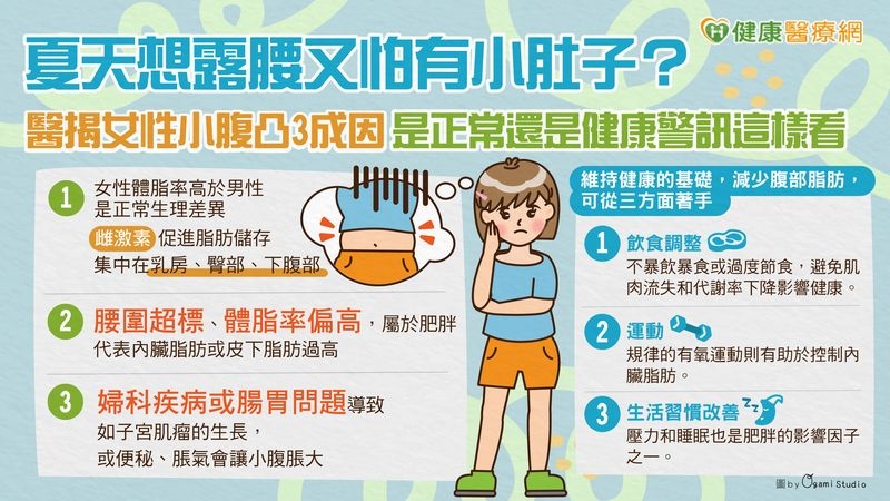 夏天想露腰又怕有小肚子？醫揭女性小腹凸3成因　是正常還是健康警訊這樣看
