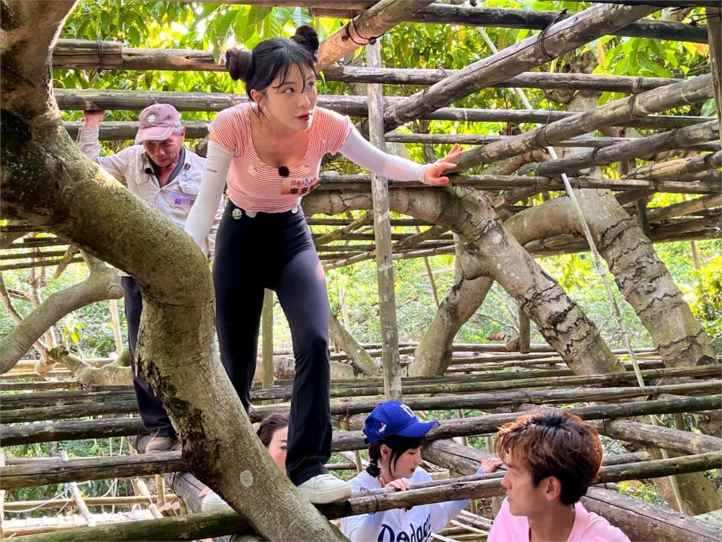 《綜藝新時代》60年人生首次體驗啦啦隊「上二樓」!楊繡惠直接軟躺男隊員懷裡