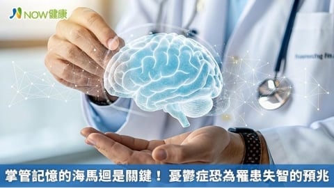 掌管記憶的海馬迴是關鍵！ 憂鬱症恐為罹患失智的預兆