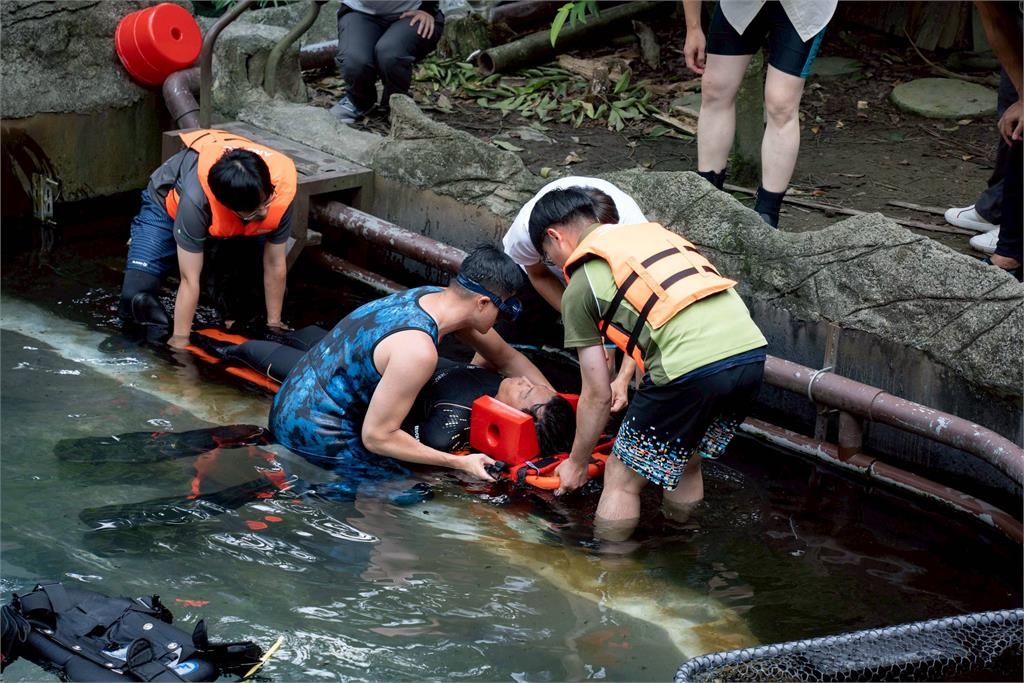 快新聞／整修完成！台北市立動物園明起重新開園　歡迎大小朋友造訪