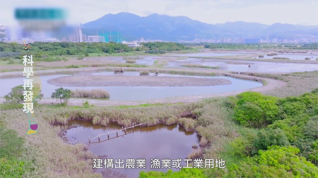 濕地生態豐富 教育成為保育關鍵
