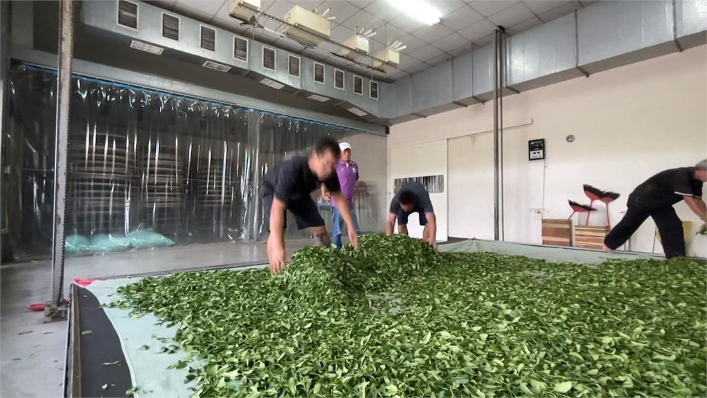 日月潭紅茶之父離世79周年 魚池鄉公所赴日本拜訪耕吉郎故鄉