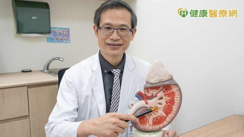 研究觀察：乙醯半胱胺酸抗發炎機制　未來可望應用於腎病控制輔助