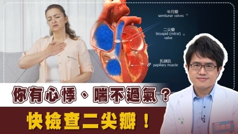 胸口悶痛「跑來跑去」?休息也心悸?醫點名「二尖瓣脫垂」3大徵兆