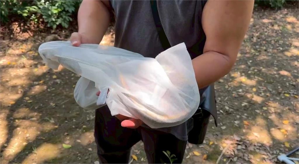 新竹公園驚見「巨蛇出沒」嚇壞小孩!「人間蛇姬」真實身分曝光竟是保育類動物