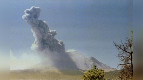 7月災難預言逼近該如何應對？LINE親授「救命2招」實用操作一次看