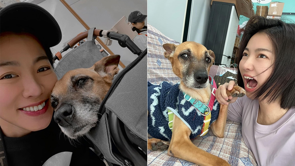 米可白「女兒」錢錢抗癌106天辭世！曝最後陪伴照片喊話：願你再回來