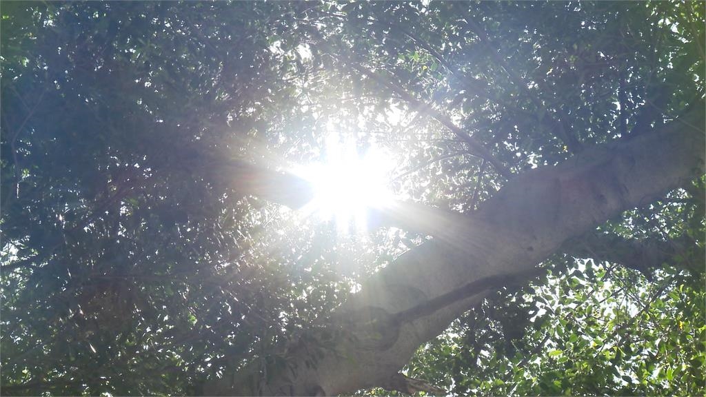 週末恐變天!熱帶低壓生成 最快今晚成輕颱「丹娜絲」