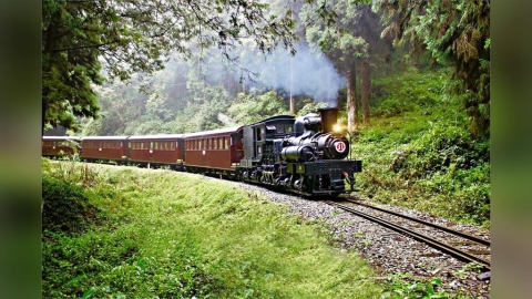 別撲空!準颱風「丹娜絲」將形成 阿里山林鐵7/5-8預警性停駛