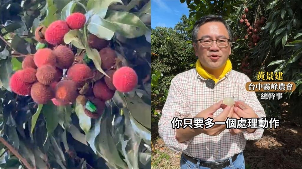 炎熱天氣荔枝容易變質?專家曝多做「1步驟」保鮮不發黑延命10天 炎熱天氣荔枝容易變質?專家曝多做「1步驟」保鮮不發黑延命10天