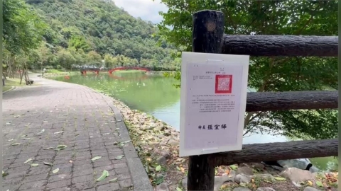宜蘭望龍埤「鴨鴨軍團」隨地大號　鄉公所移置反應兩極