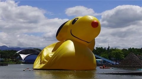 躲颱風！宜蘭童玩節「史努比鴨」消風趴下　遊客笑拍照：它盡力了