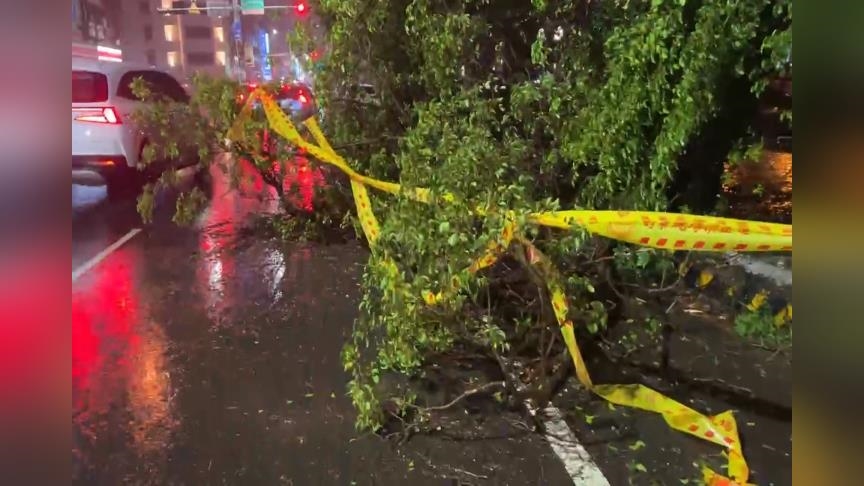 丹娜絲中心將通過！台南入夜風雨更強　宣布7日停班停課