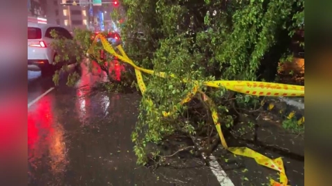丹娜絲中心將通過！台南入夜風雨更強　宣布7日停班停課