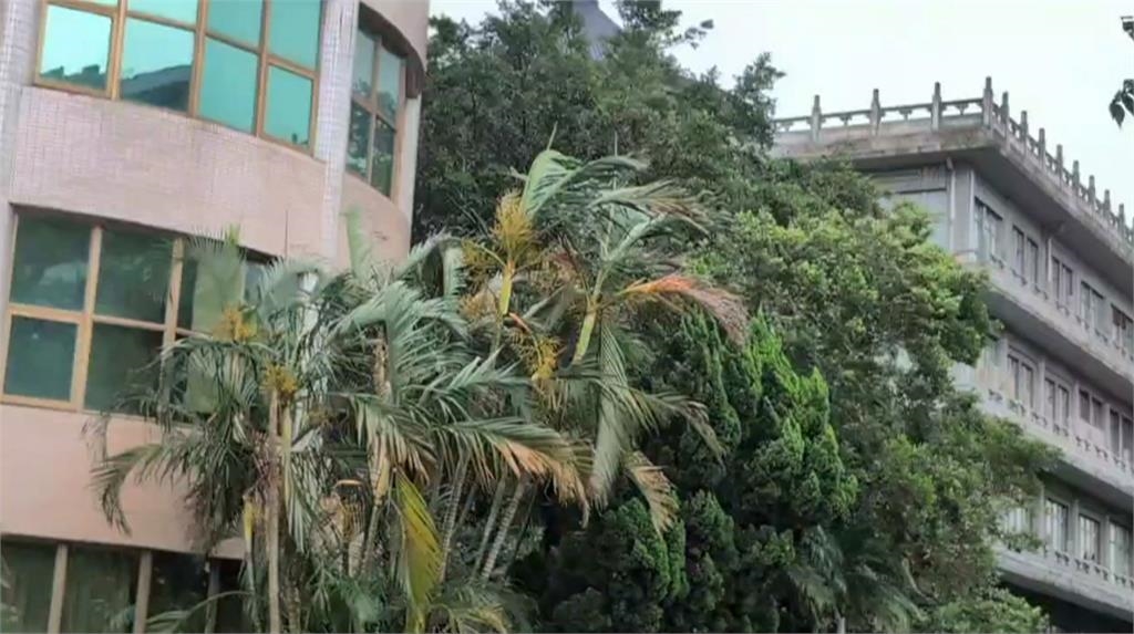 陽明山風雨增強! 文化大學今改遠距教學