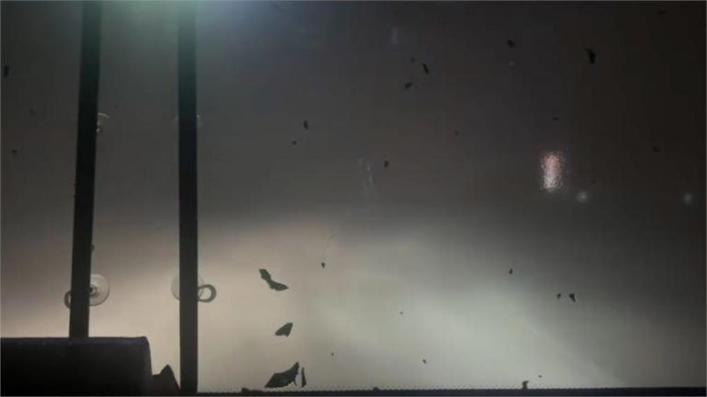 統一獅隊巴颱風夜衝國道　台南Josh轟球團：運氣差一點就整隊滅團