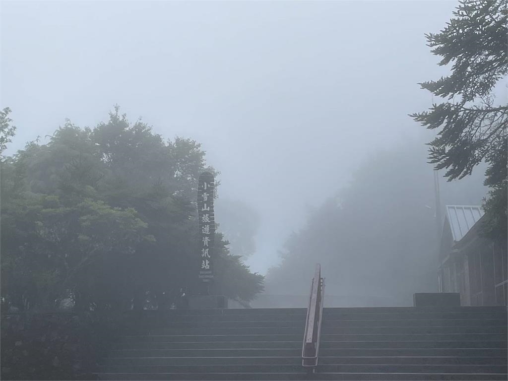 快新聞/丹娜絲遠離台灣! 「這4個」森林遊樂區明日正常開園