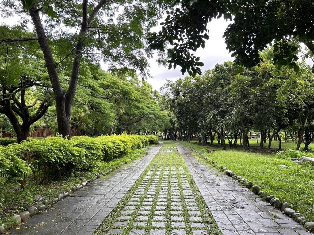 快新聞/丹娜絲遠離台灣! 「這4個」森林遊樂區明日正常開園