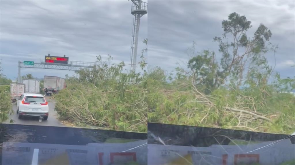 國道一夜遭丹娜絲崩壞！讓車主變「叢林冒險家」網：還以為走錯片場