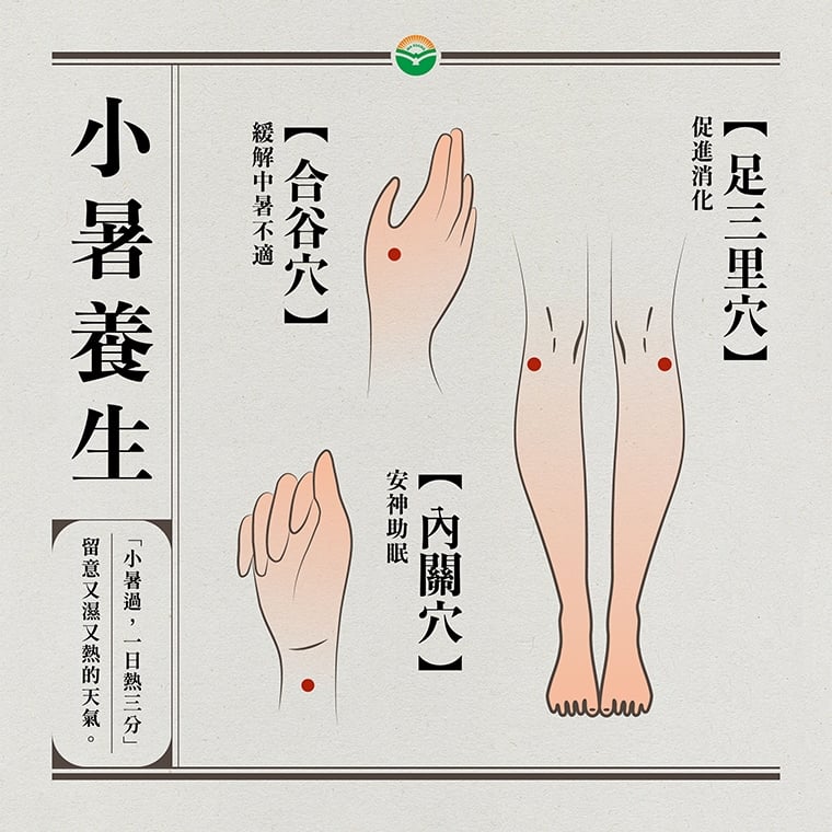 小暑到熱浪來襲!4症狀常上身 中醫推1茶飲3穴位舒緩