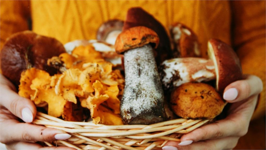 17人因「茄子+香菇致命」?食藥署打臉謠言喊:2015就已澄清