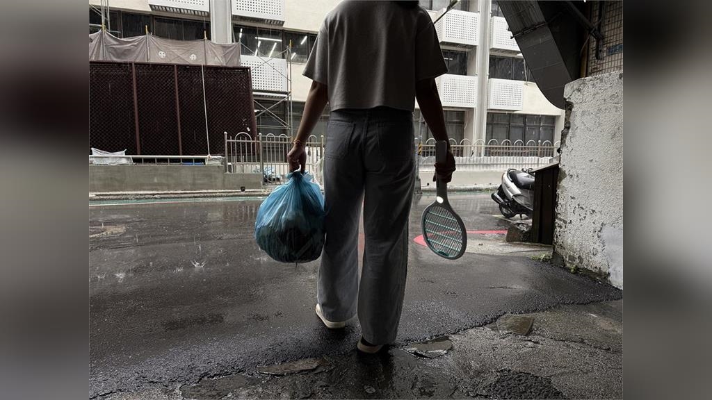 颱風才剛走 蚊子就來了！家事達人提醒「這件事」沒做等著被叮爆