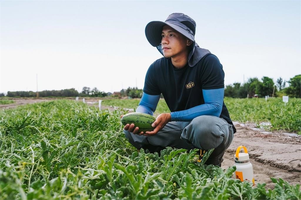 30歲青農網紅「業配中國拼多多」挨轟政治敏感度低落!本人發聲道歉了