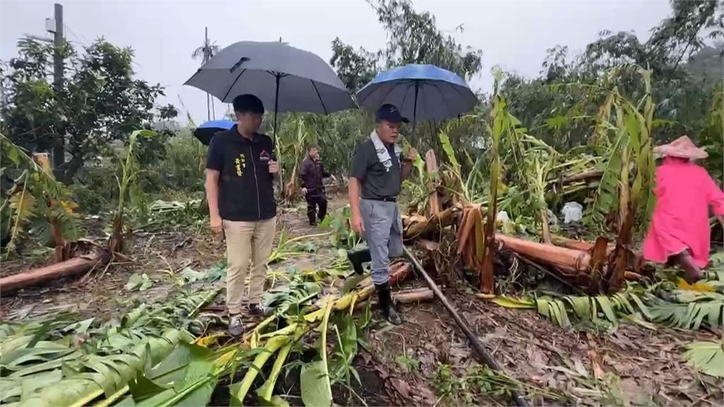 農民心淌血　丹娜絲重創梅山　蔬果全毀！無一倖免