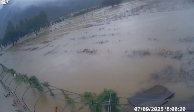 金針花田變成花海 淹水畫面監視器曝光