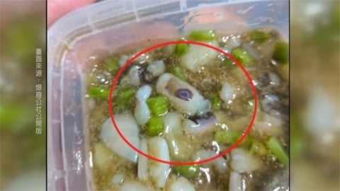 高雄男買芥末章魚吃一半疑見「劇毒藍環」 嘴麻掛急診 醫師:沒解藥